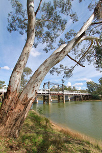 Cobram Barooga Bridge