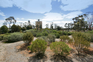 Walpeup Dryland Garden, Mallee, Victoria