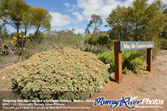 Walpeup Mrs Mc Cracken's Dryland Garden, Mallee, Victoria