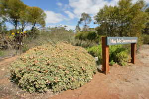 Walpeup Mrs Mc Cracken's Dryland Garden, Mallee, Victoria