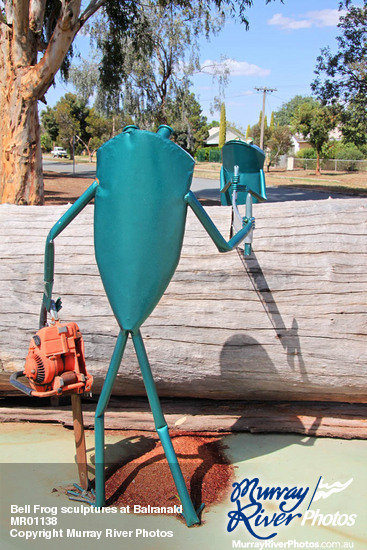 Bell Frog sculptures at Balranald