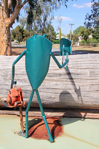 Southern Bell Frog sculpture