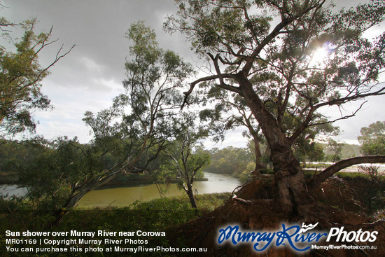 Sun shower over Murray River near Corowa