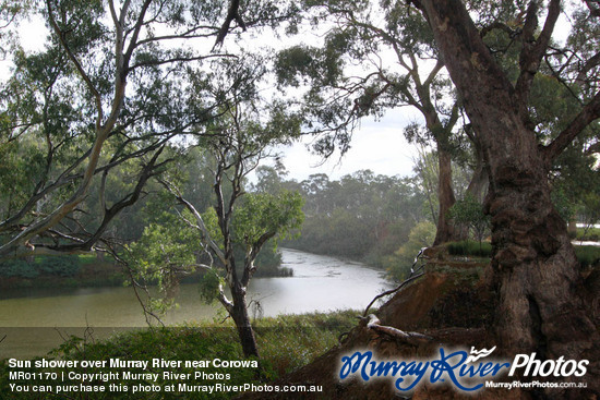 Sun shower over Murray River near Corowa