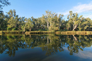 Glassy morning near Corowa on the Murray River