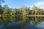 Glassy morning near Corowa on the Murray River