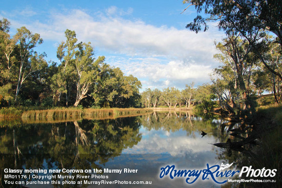 Glassy morning near Corowa on the Murray River