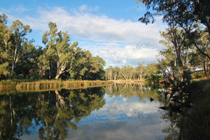 Glassy morning near Corowa on the Murray River