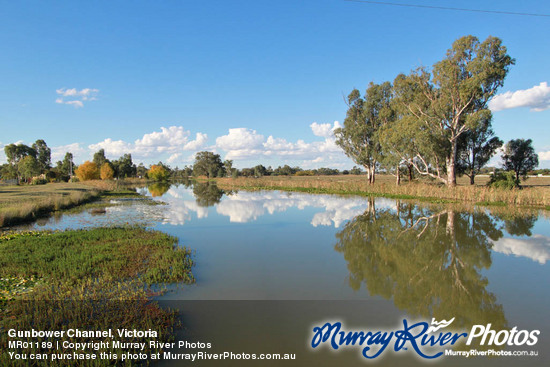 Gunbower Channel, Victoria