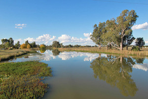 Gunbower Channel, Victoria