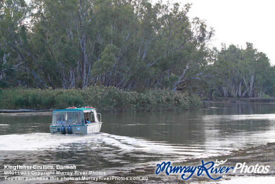 Kingfisher Cruises, Barmah