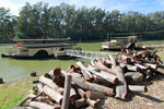 PS Canberra and Pride of the Murray, Echuca