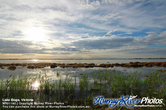 Lake Boga, Victoria