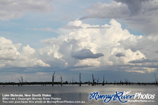 Lake Mulwala, New South Wales