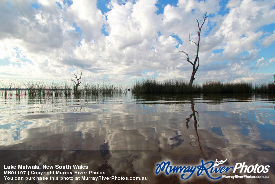 Lake Mulwala, New South Wales