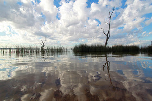 Lake Mulwala, New South Wales