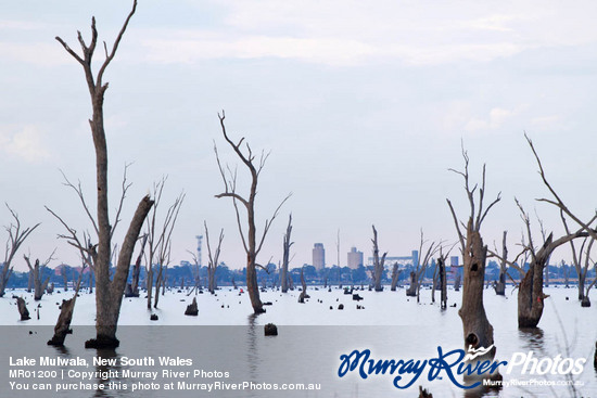 Lake Mulwala, New South Wales