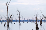 Lake Mulwala, New South Wales