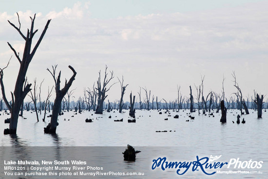 Lake Mulwala, New South Wales