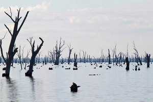 Lake Mulwala, New South Wales