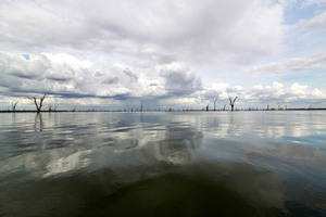 Lake Mulwala, New South Wales