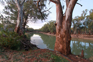 Murray River at Wood Wood, Victoria