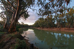 Murray River at Wood Wood, Victoria