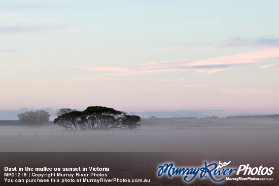 Dust in the mallee on sunset in Victoria