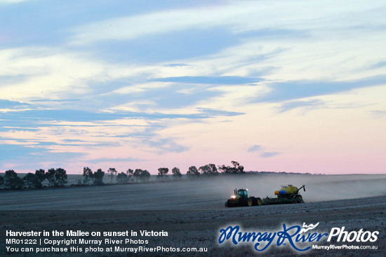 Harvester in the Mallee on sunset in Victoria