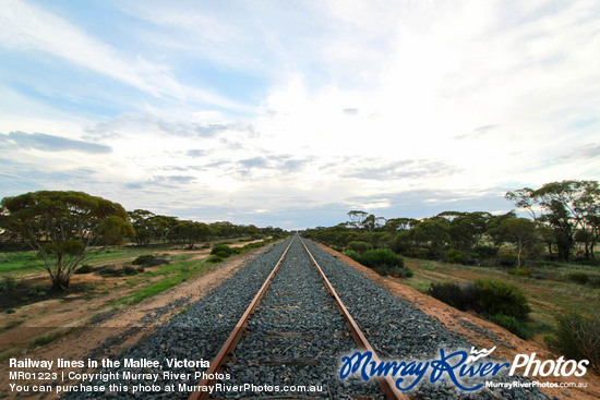 Railway lines in the Mallee, Victoria