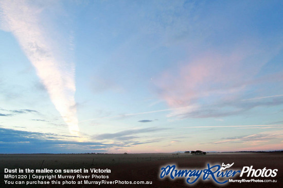 Dust in the mallee on sunset in Victoria