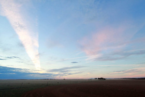 Dust in the mallee on sunset in Victoria