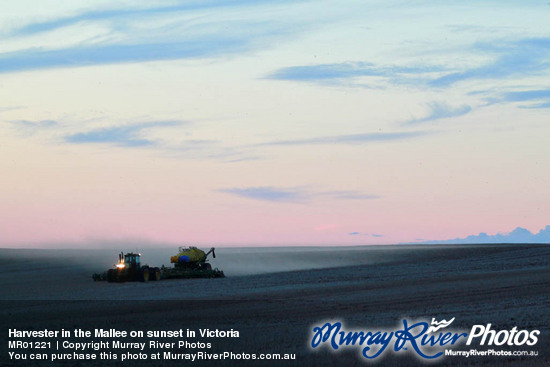 Harvester in the Mallee on sunset in Victoria