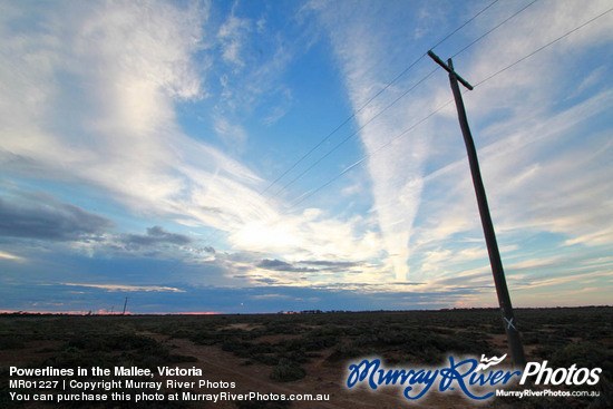 Powerlines in the Mallee, Victoria