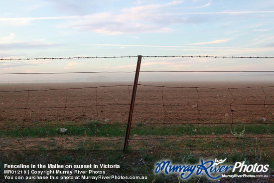 Fenceline in the Mallee on sunset in Victoria