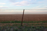 Fenceline in the Mallee on sunset in Victoria