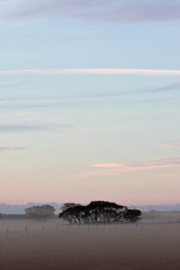 Dust in the mallee on sunset in Victoria