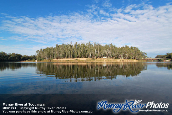 Murray River at Tocumwal