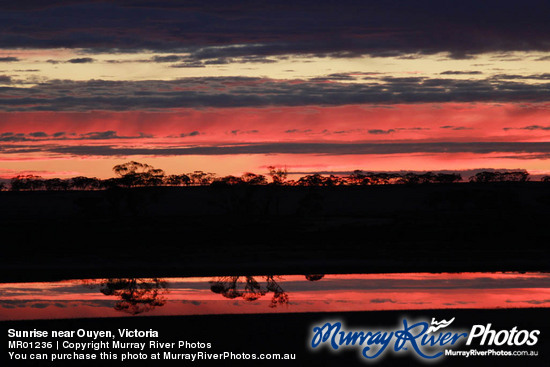 Sunrise near Ouyen, Victoria