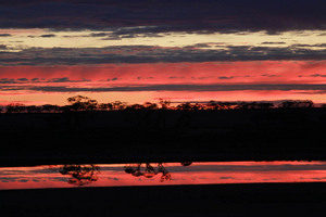 Sunrise near Ouyen, Victoria