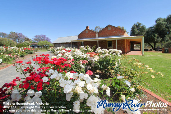 Mildura Homestead, Victoria