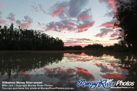 Wilkadene Murray River sunset