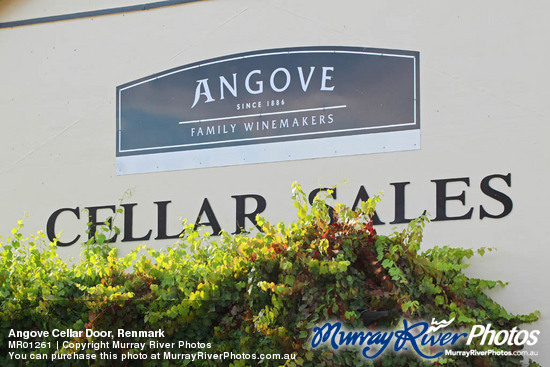 Angove Cellar Door, Renmark