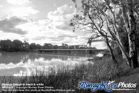 Paringa Bridge in black & white