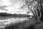 Paringa Bridge in black & white