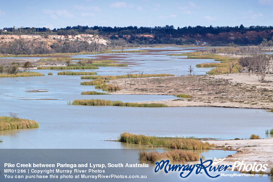 Pike Creek between Paringa and Lyrup, South Australia