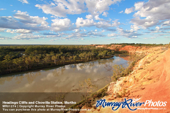 Headings Cliffs and Chowilla Station, Murtho