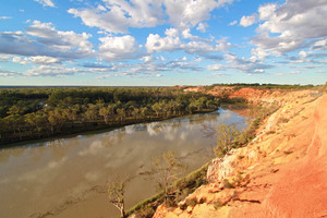 Headings Cliffs and Chowilla Station, Murtho