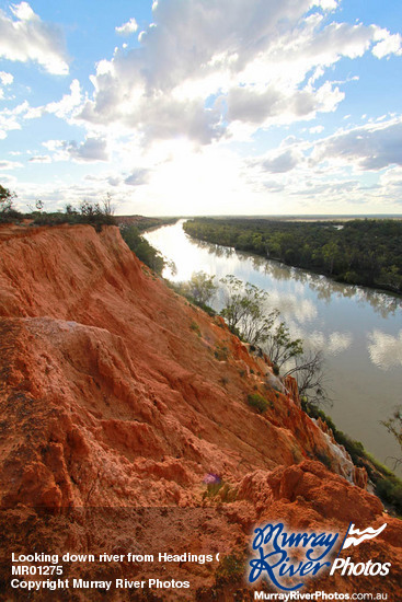 Looking down river from Headings Cliffs, Murtho