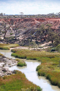 Pike Creek between Paringa and Lyrup, South Australia